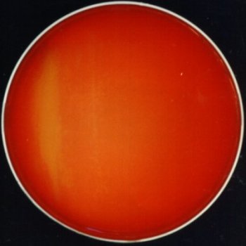 Lactobacillus salivarius